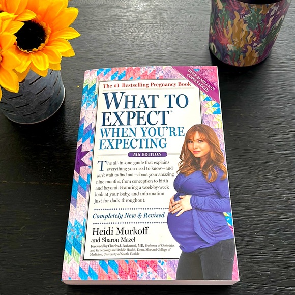 Other A Book With Everything You Need To Know About Pregnancy Labor other-a-book-with-everything-you-need-to-know-about-pregnancy-labor